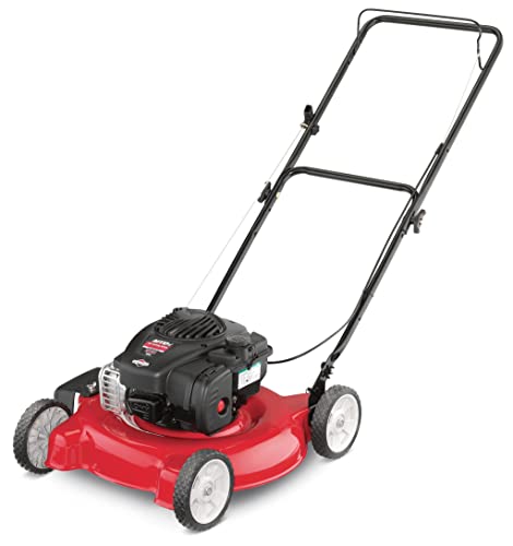 best lawn mowers for small yards