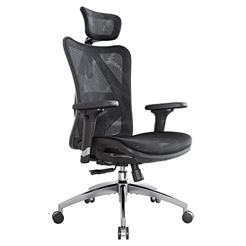 SIHOO Ergonomic Mesh Office Chair, Computer Desk Chair with 3-Way Armrests, 2-Way Lumbar Support and Adjustable Headrest, High Back Home Office Chair with Tilt Function, Mesh Back and Seat(Black)