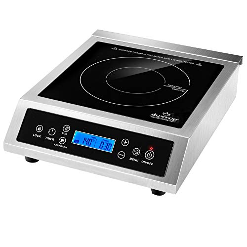 best induction range