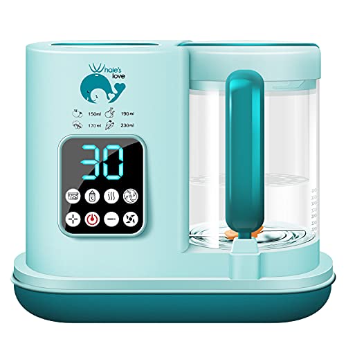 best blenders for baby food