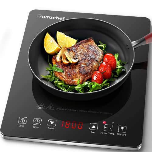 best portable induction cooktop
