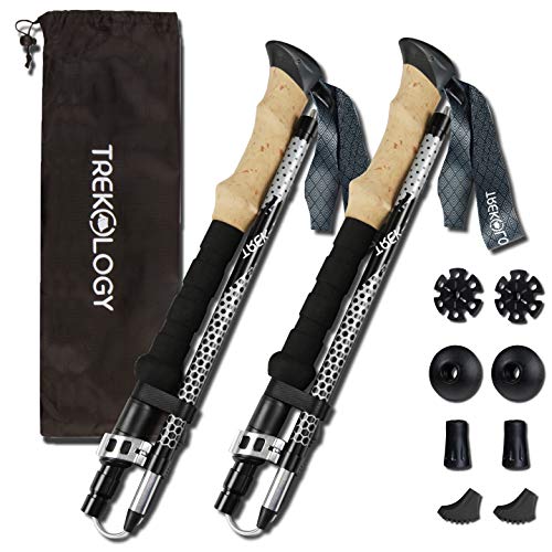best hiking poles