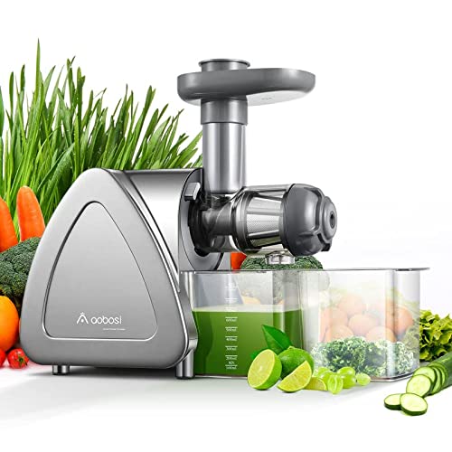 Aobosi Slow Masticating Juicer Machine, Cold Press juicer Extractor, Quiet Motor, Reverse Function, High Nutrient Fruit and Vegetable Juice with Juice Jug & Brush for Cleaning, Gray